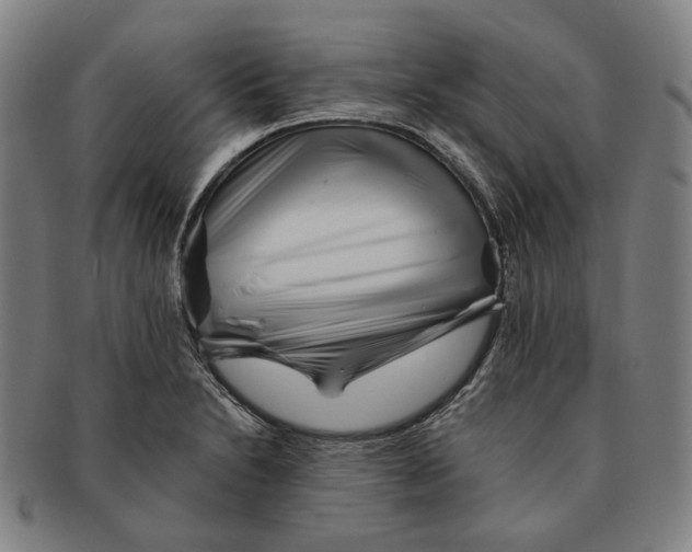 X0000090971230200708301218