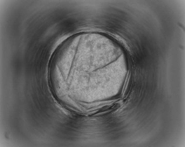 X0000090971231200708301218