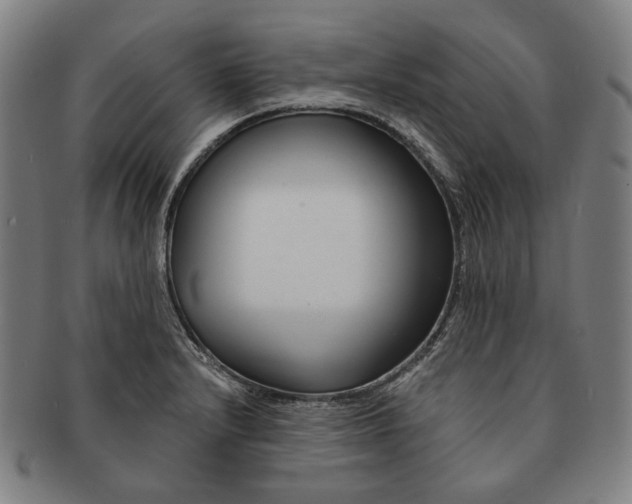 X0000090971232200708301218