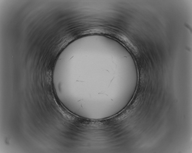 X0000090971233200708301218