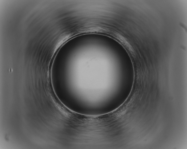 X0000090971234200708301218