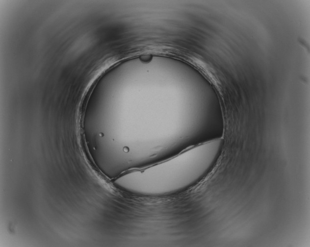 X0000090971235200708301218