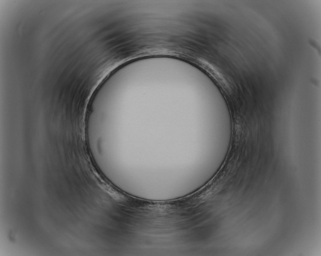 X0000090971236200708301218