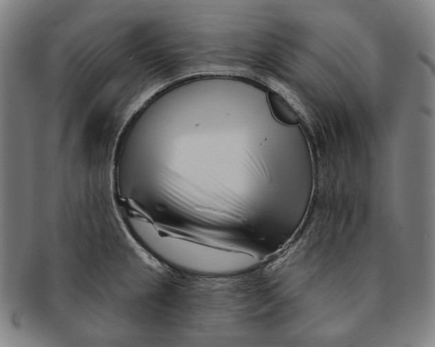 X0000090971237200708301218