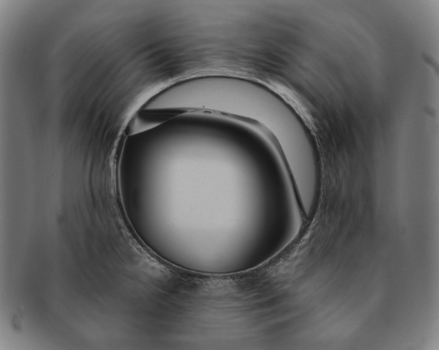 X0000090971238200708301218