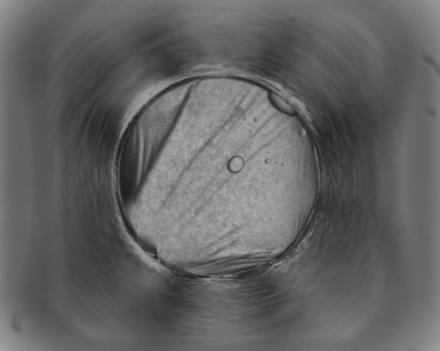 X0000090971239200708301218