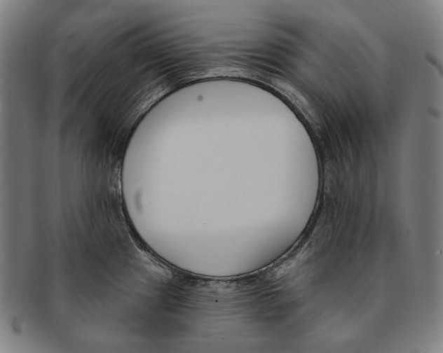 X0000090971241200708301218