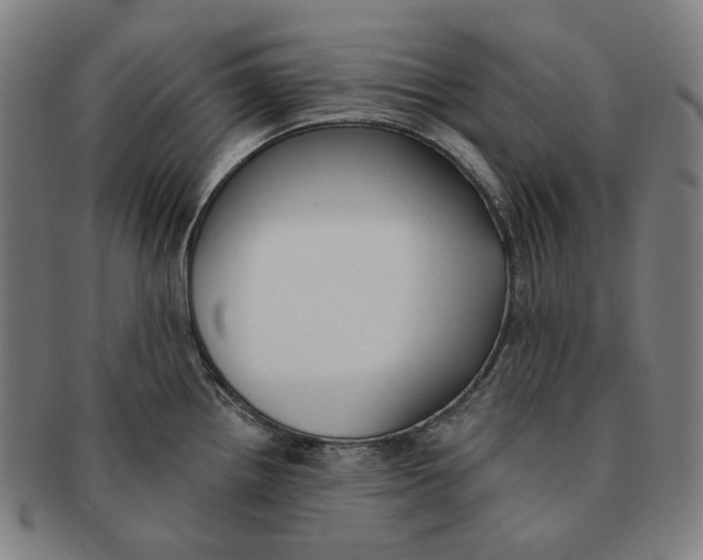 X0000090971242200708301219