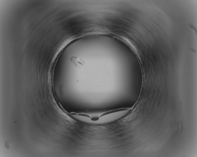 X0000090971243200708301219