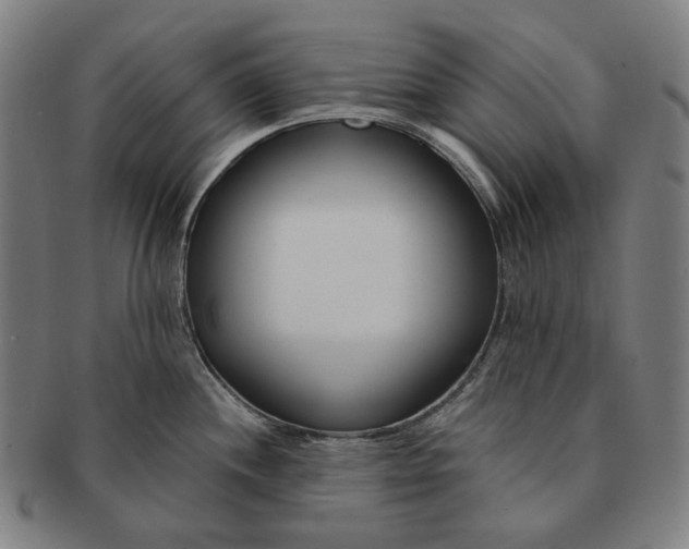 X0000090971244200708301219