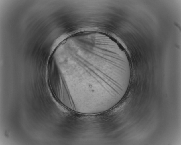 X0000090971245200708301219