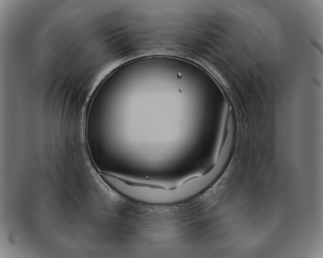 X0000090971246200708301219