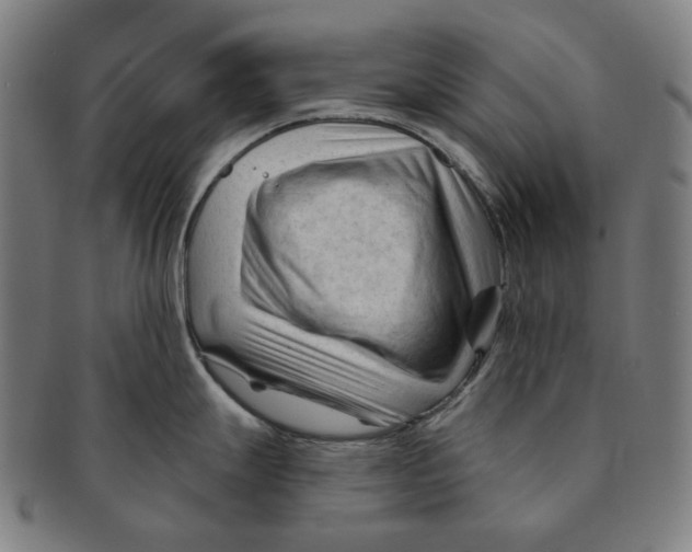 X0000090971247200708301219