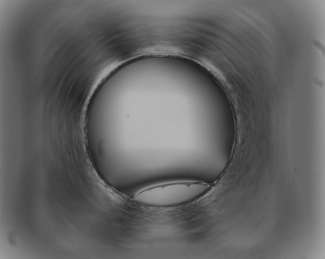 X0000090971248200708301219