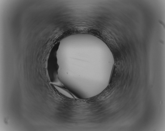 X0000090971249200708301218