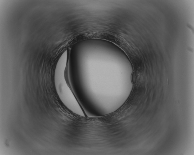 X0000090971250200708301218