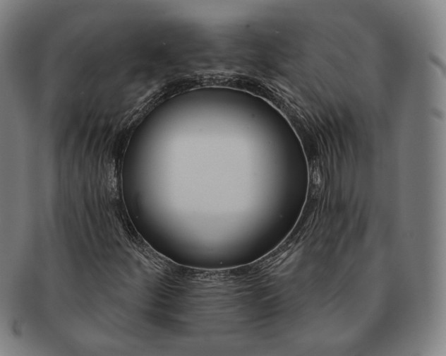 X0000090971252200708301218