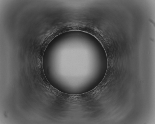 X0000090971253200708301218