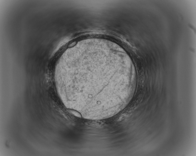 X0000090971255200708301218