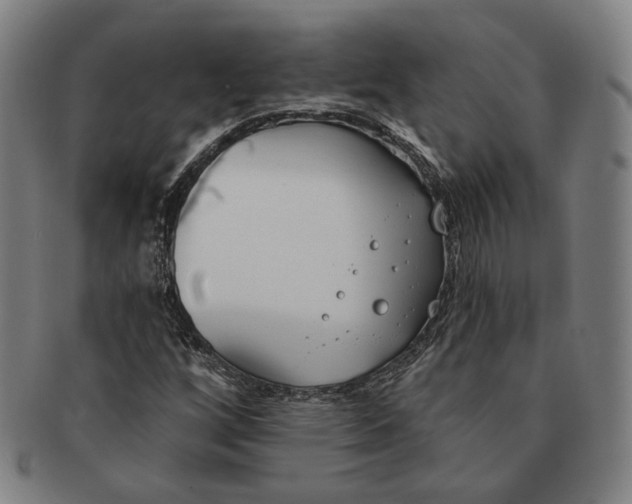 X0000090971256200708301218