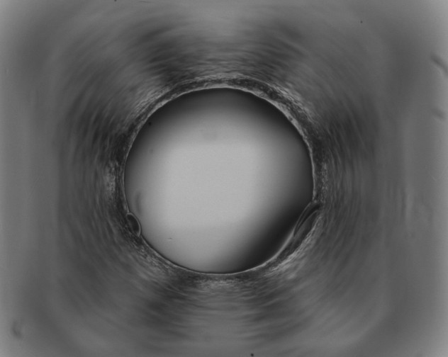 X0000090971257200708301218