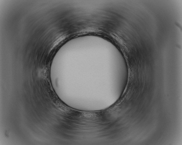 X0000090971258200708301218