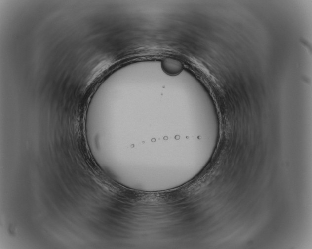 X0000090971259200708301218