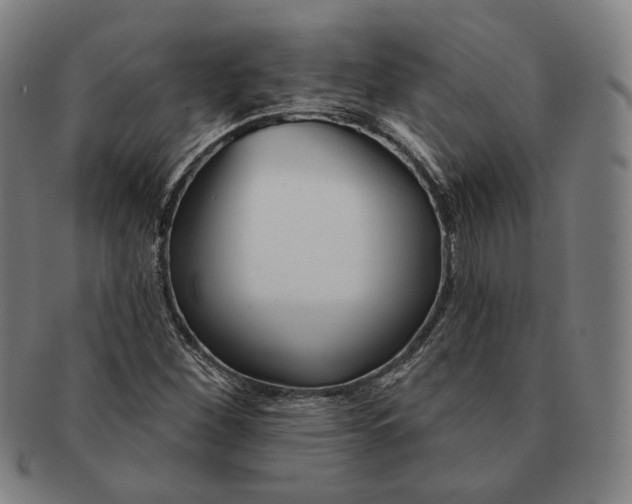 X0000090971260200708301218