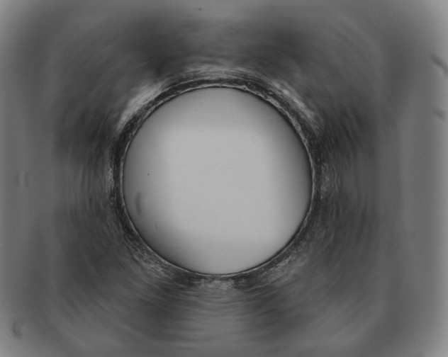 X0000090971261200708301218