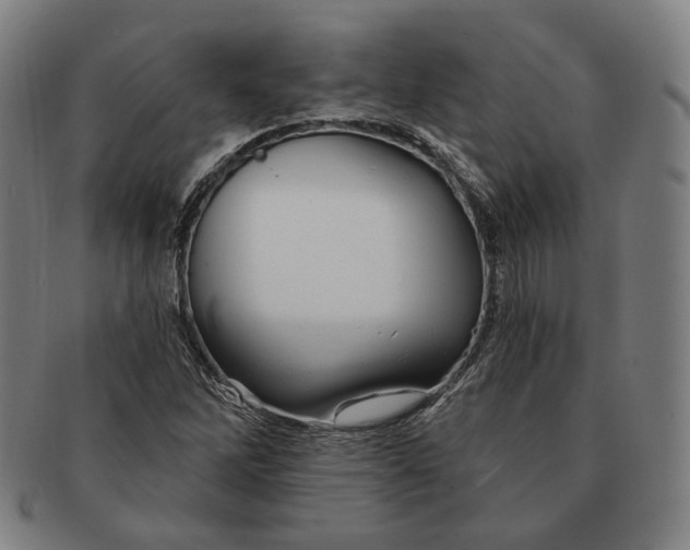 X0000090971262200708301218