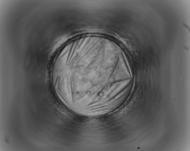 X0000090971263200708301218