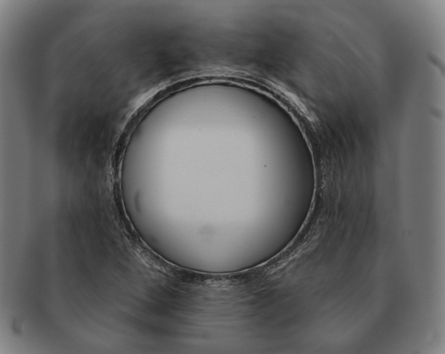 X0000090971264200708301218