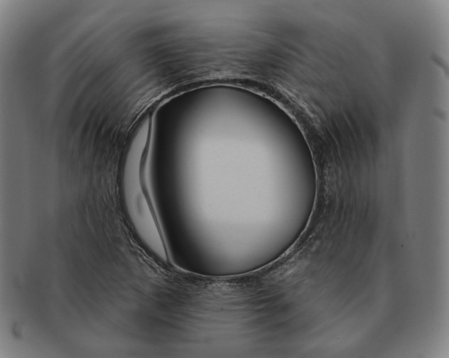 X0000090971265200708301218