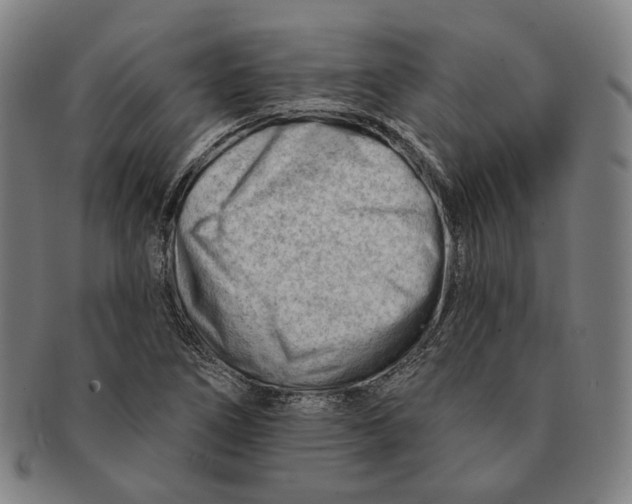 X0000090971266200708301218