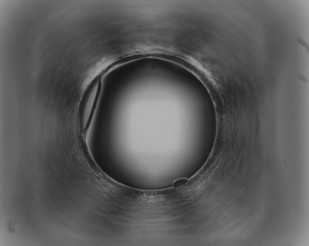 X0000090971269200708301218