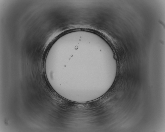 X0000090971271200708301218