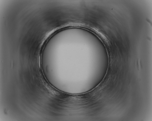 X0000090971272200708301218