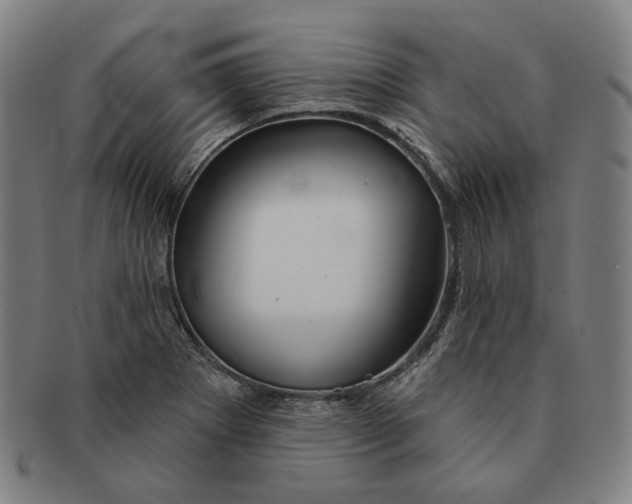 X0000090971273200708301218