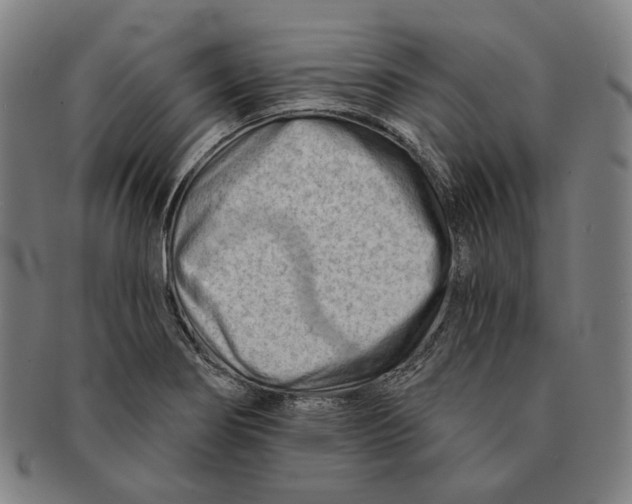 X0000090971274200708301218