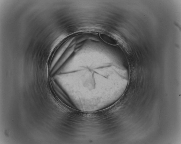 X0000090971275200708301218