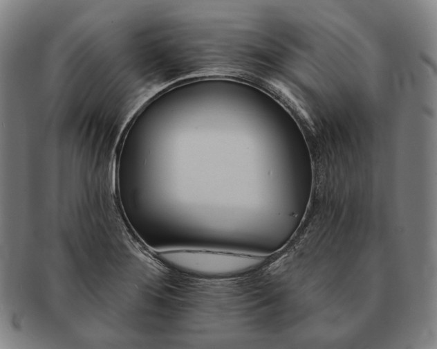 X0000090971276200708301218