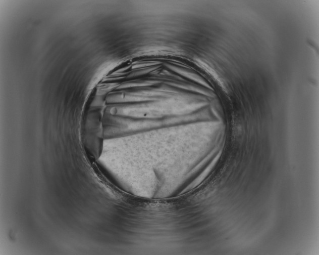 X0000090971277200708301218