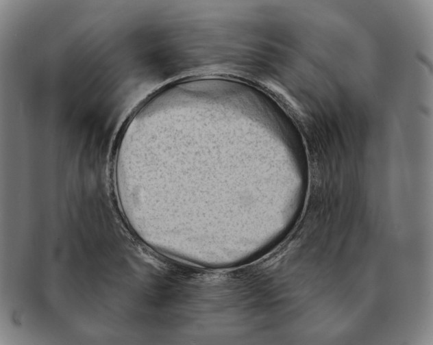 X0000090971278200708301218