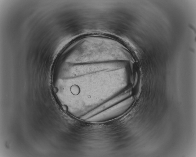 X0000090971279200708301218