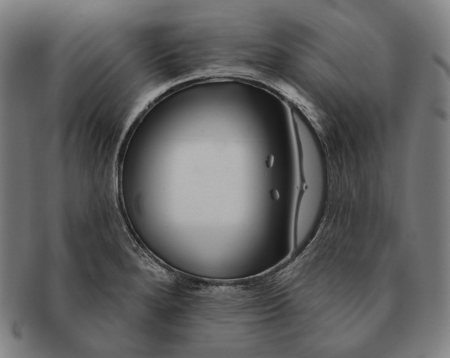 X0000090971280200708301218