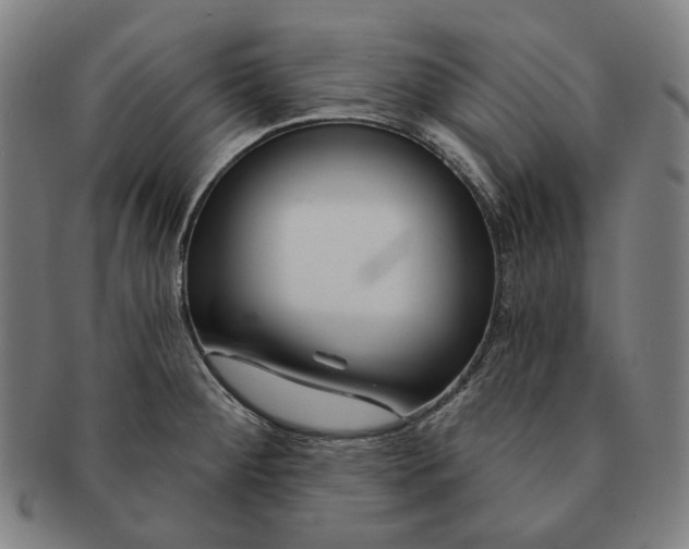 X0000090971284200708301217