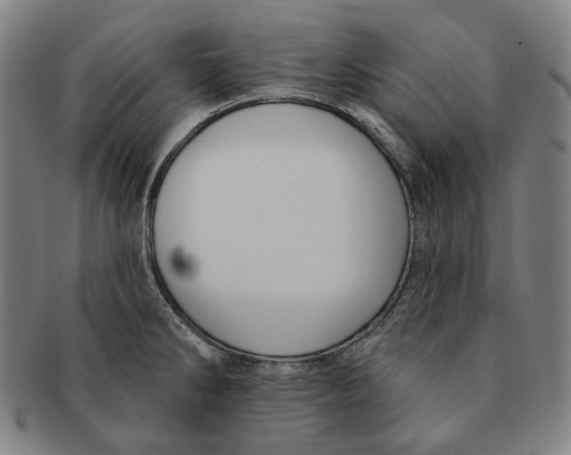 X0000090971286200708301217