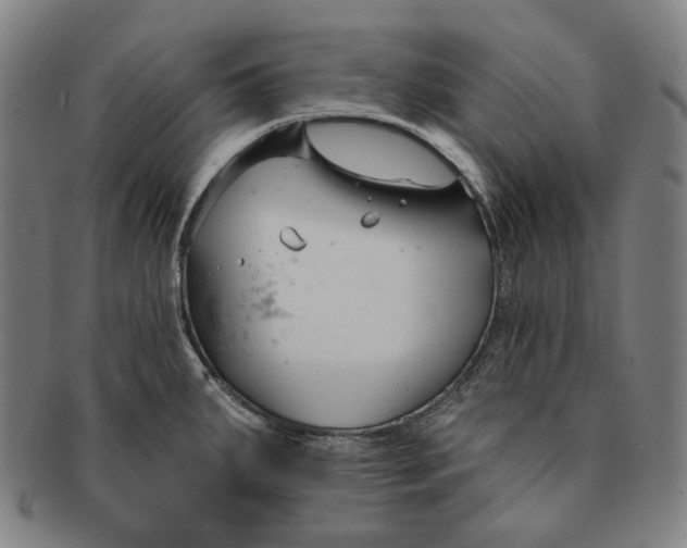 X0000090971287200708301217