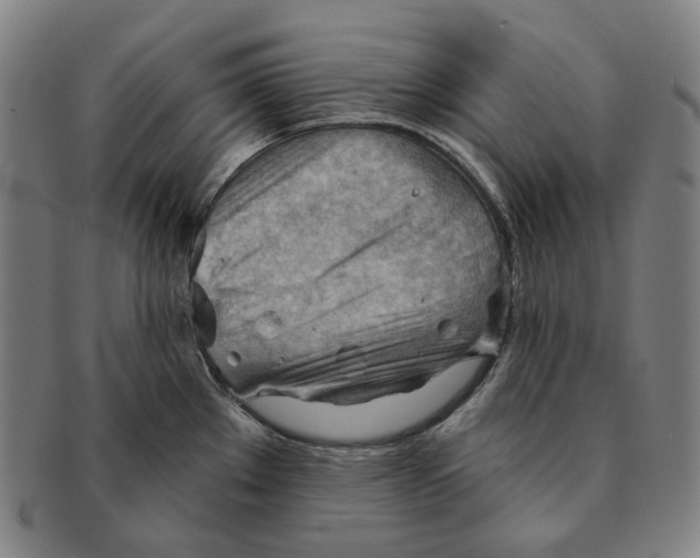 X0000090971289200708301217