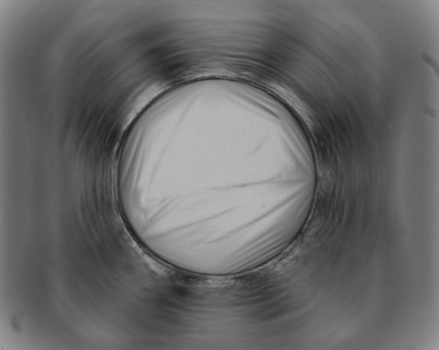 X0000090971290200708301217